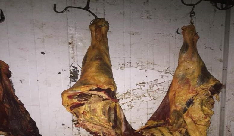 ضبط 101 كيلو من اللحوم غير صالحة خلال حملة تفتيشية بالمنيا


