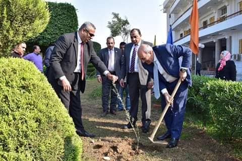 جامعة بني سويف تزرع 3200 شجرة مثمرة في إطار مبادرة 