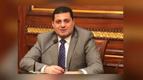 برلماني: السياحة المصرية ستزدهر الفترة المقبلة