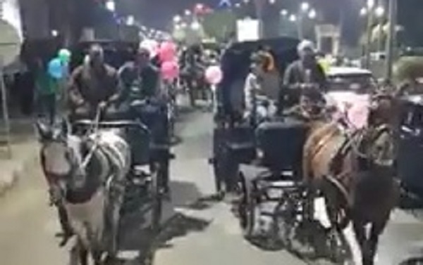 بالفيديو وزيرا السياحة والاثار فى جولة بالحناطير بشوارع المنيا