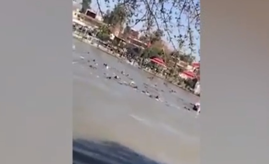  ارتفاع وفيات غرق عبارة نهر دجلة في العراق إلي 66 شخصًا


