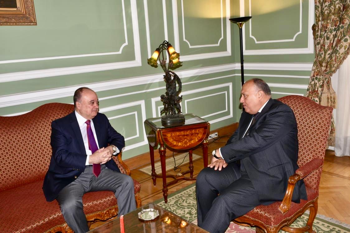 وزير الخارجية يؤكد: مواقف مصر راسخة تجاه القضية الفلسطينية
