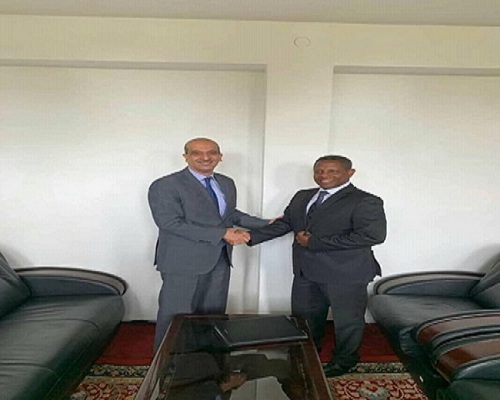 سفير مصر بأديس أبابا يلتقي مدير إدارة دول الجوار بوزارة الخارجية الإثيوبية
