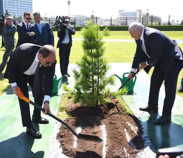 الرئيس السيسي يشارك نظيره البيلاروسي زراعة شجرة الصداقة