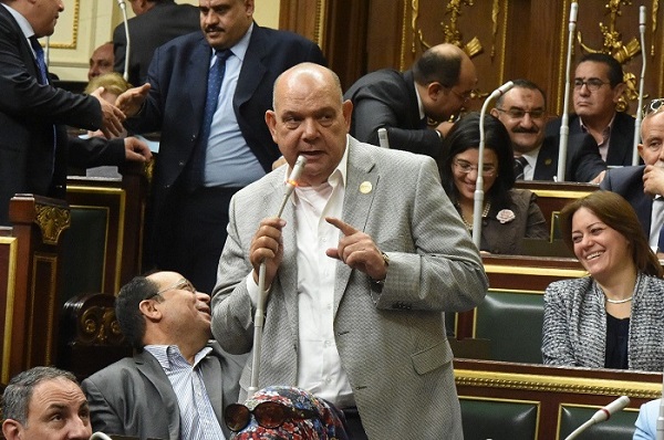 برلماني: 30 يونيو رسخت لمكانة مصر على المستوى الإقليمي والعالمي