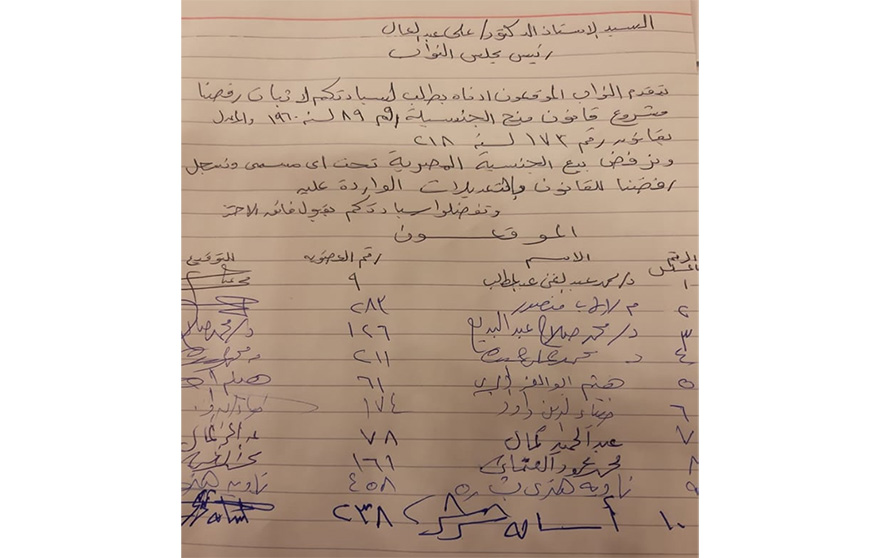 10 نواب يسجلون رفضهم بيع الجنسية المصرية تحت أي مسمى