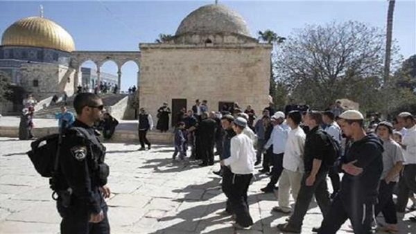  مستوطنون يقتحمون المسجد الأقصى بحراسة مشددة من الاحتلال