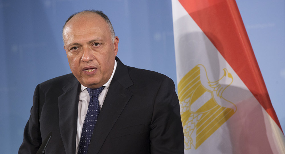 بيان غاضب للخارجية المصرية يحذر تركيا من مغبة أي تدخل عسكري في ليبيا