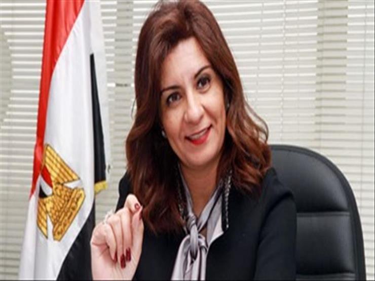 وزيرا الهجرة والطيران: تيسيرات للمصريين بالخارج لتغيير موعد عودتهم وندرس تخصيص رحلات إضافية