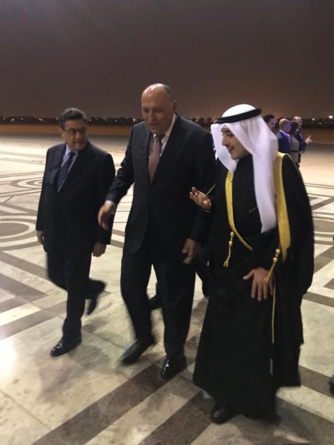 وزير الخارجية يصل الكويت في جولة عربية حاملًا رسالة من السيسي 
