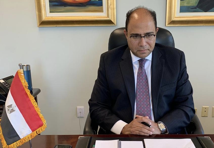 سفير مصر في كندا يستعرض الجهود المصرية لتوفير الحماية للمرأة خلال جائحة كورونا
