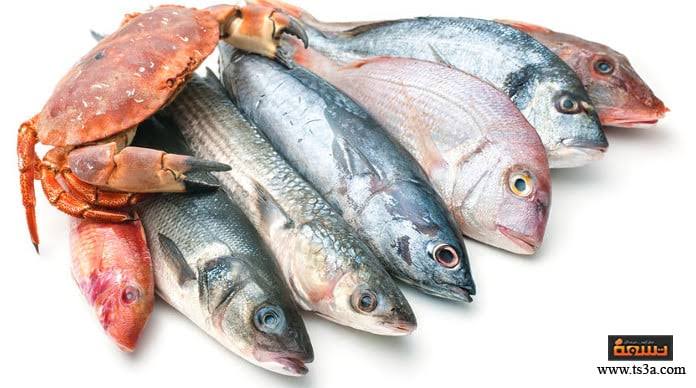 أسعار السمك فى مصر  الخميس 20 أغسطس 2020