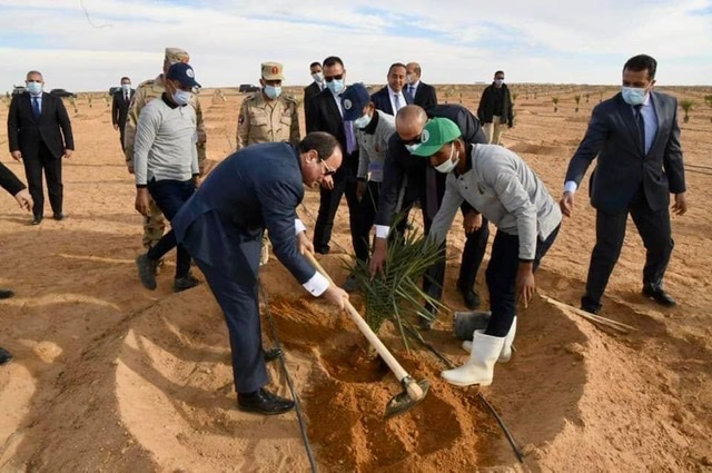 الرئيس السيسي يزرع أشجار النخيل وسط شباب العاملين في توشكى
