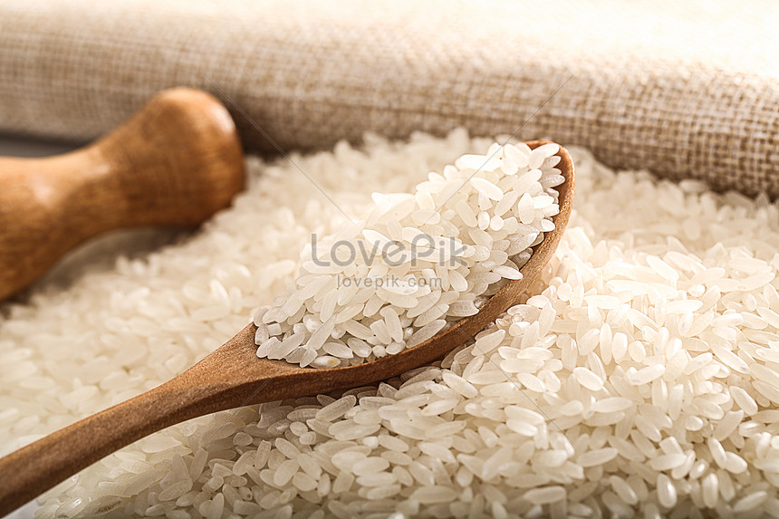 غرفة صناعة الحبوب: توريد 150ألف طن أرز خلال 5 أشهر لطرحة على بطاقات التموين