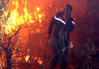 مصر تعزي الجزائر في ضحايا الحرائق