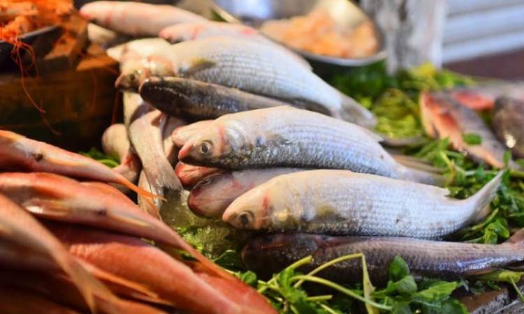 الزراعة: مصر على وشك تحقيق الاكتفاء الذاتي من إنتاج الأسماك

