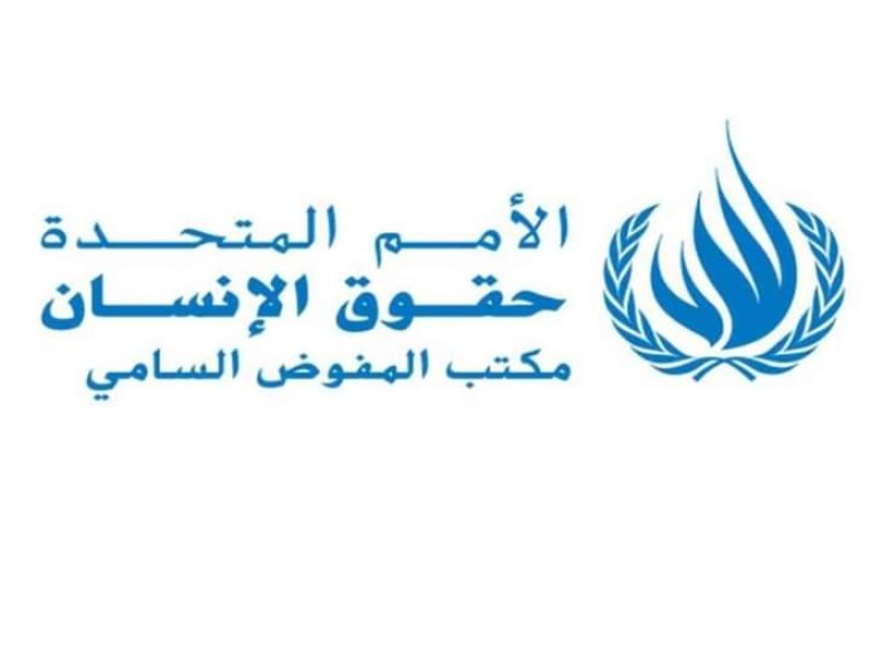 بعثة مصر لدى الأمم المتحدة ترفض بيان مفوضية حقوق الإنسان بشأن محاكمة علاء عبدالفتاح
