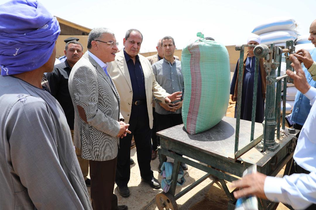 شون وصوامع محافظة المنيا تستقبل 104ألف طن من محصول القمح