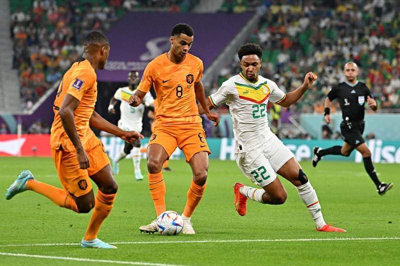 كأس العالم | التعادل السلبي يحسم الشوط الأول بين هولندا والسنغال