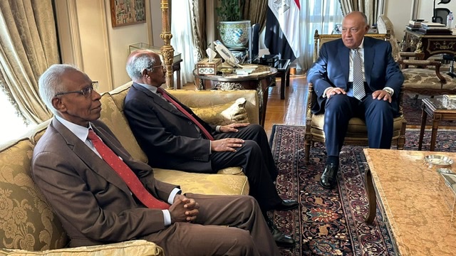 شكرى يلتقي وزير خارجية إريتريا والمستشار السياسي للرئيس الإريتري