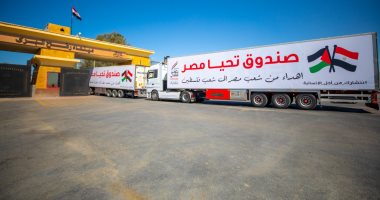 دخول 65 شاحنة مساعدات إنسانية إلى غزة من معبر رفح