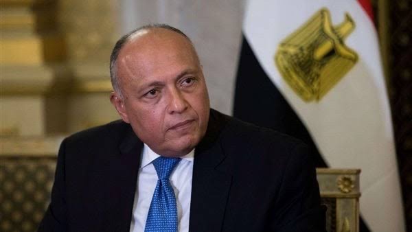 وزير الخارجية يوجه البعثات الدبلوماسية بتيسير مشاركة المصريين في الخارج في الانتخابات الرئاسية