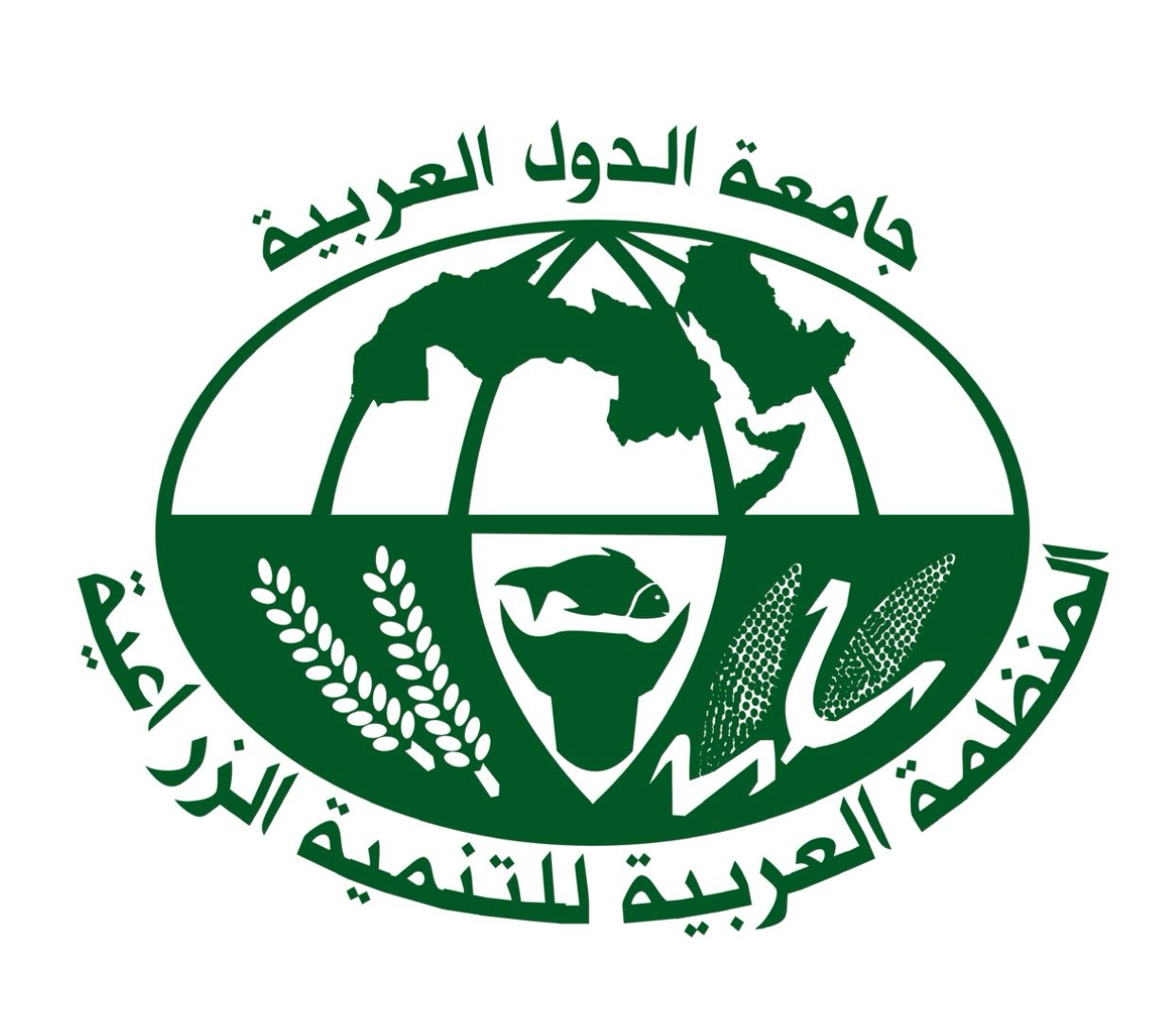 المنظمة العربية للتنمية الزراعية تطلق مشروعا لتطوير ريادة الأعمال بالزراعة والبيئة في جزر القمر
