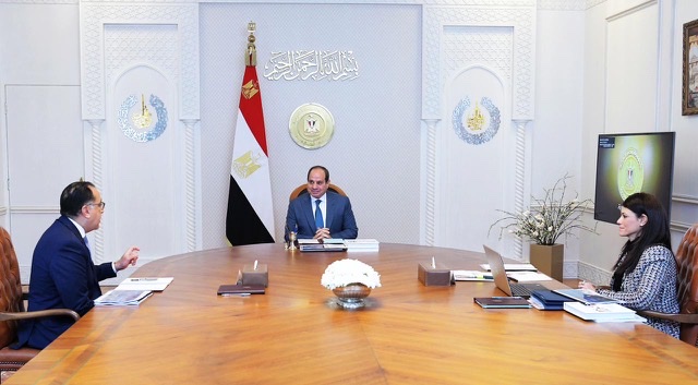 الرئيس السيسي يؤكد أهمية دور القطاع الخاص في تحقيق التنمية الشاملة في مصر