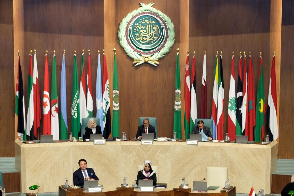 أبوغزالة: أعمال المجلس الاقتصادي والاجتماعي تركز على تنفيذ خطة التنمية المستدامة ودعم الفئات الضعيفة