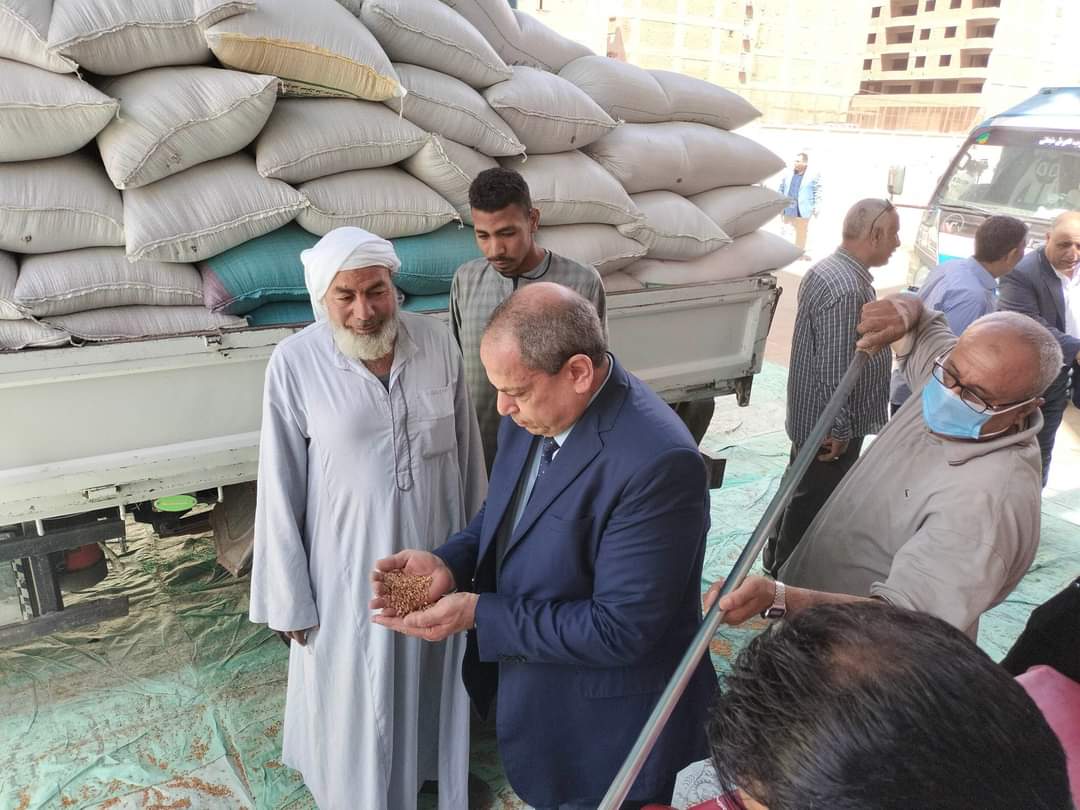 توريد 39 ألف طن من محصول القمح بالشون والصوامع الحكومية بمراكز المنيا