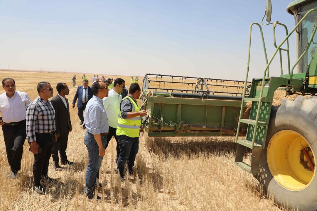  شون وصوامع محافظة المنيا تستقبل 162 ألف طن من محصول القمح