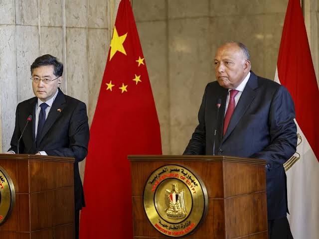 وزير الخارجية يستقبل نظيره الصيني بقصر التحرير 