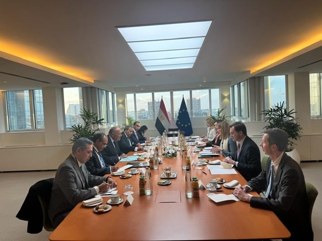 وزير الخارجية يؤكد أهمية تعزيز الحوار البناء والموضوعي بين مصر والبرلمان الأوروبي على أسس الصداقة