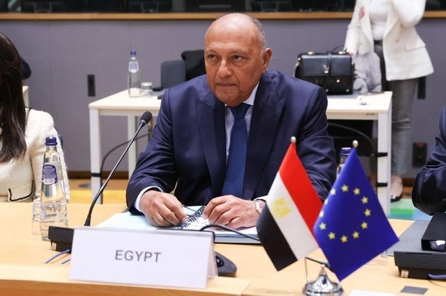 بيان مشترك عن الاجتماع العاشر لمجلس المشاركة بين مصر والاتحاد الأوروبي 