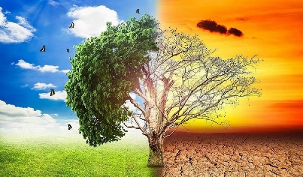 أربعة مجالات لضمان التحول العادل في مجال الطاقة استجابة لأزمة المناخ