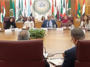 الجامعة العربية تعقد جلسات لمناقشة استخدام الملكية الفكرية كأداة لتعزيز التنمية المستدامة