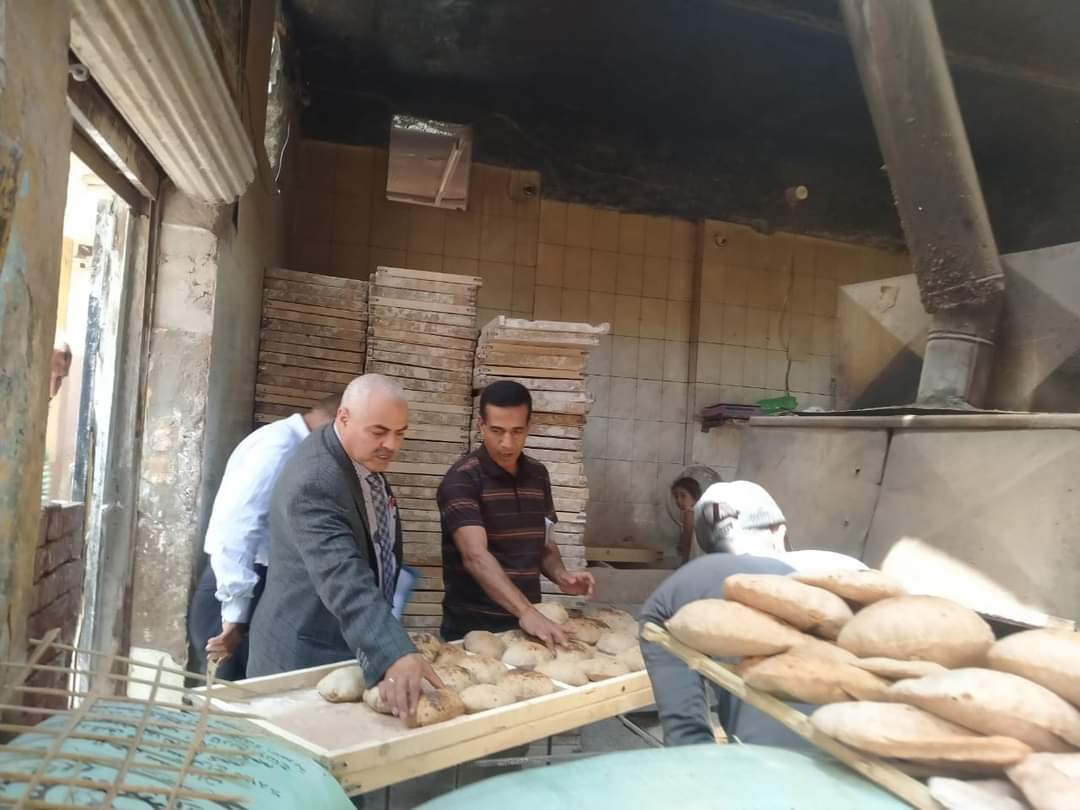 مع أول أيام تطبيق سعر الخبز المدعم

محافظ المنيا يتابع حملات التفتيش والمراقبة على المخابز البلدية بمراكز المحافظة