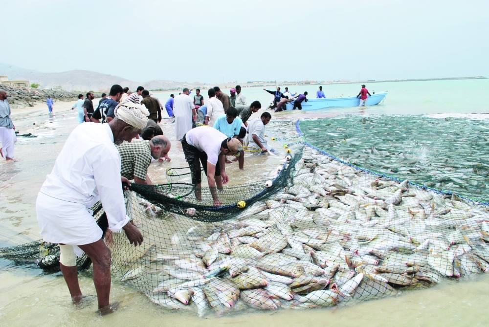 114 مصنعا للصناعات السمكية في سلطنة عمان تعزز رؤية 2040

