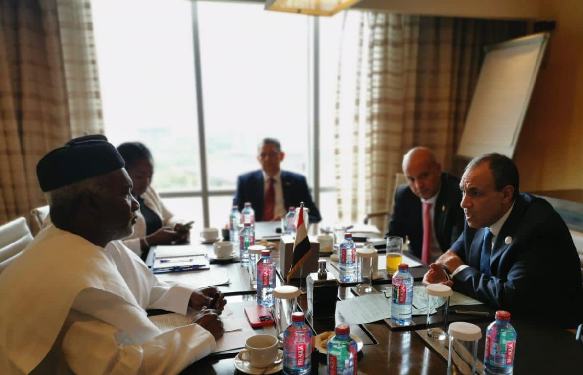 مصر ونيجيريا تؤكدان على تعزيز التعاون الاقتصادي باعتبارهما الاقتصادين الأكبر في أفريقيا