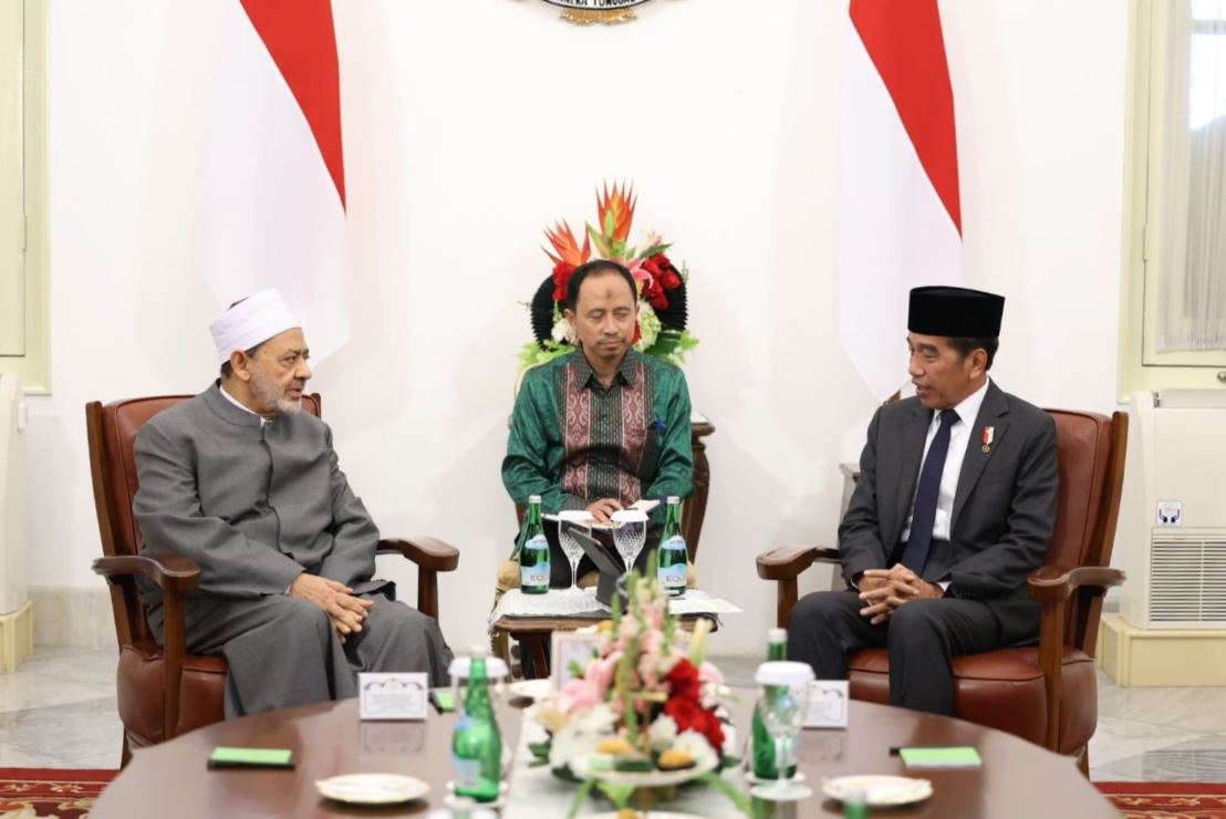 مصر و إندونيسيا تبحثان مبادرة 