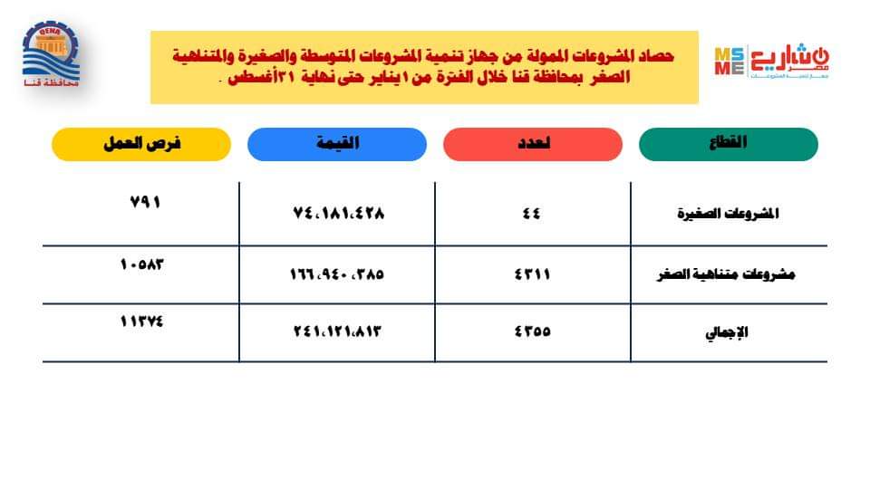 241 مليون جنيه لتمويل المشروعات الصغيرة خلال العام الجارى بقنا

