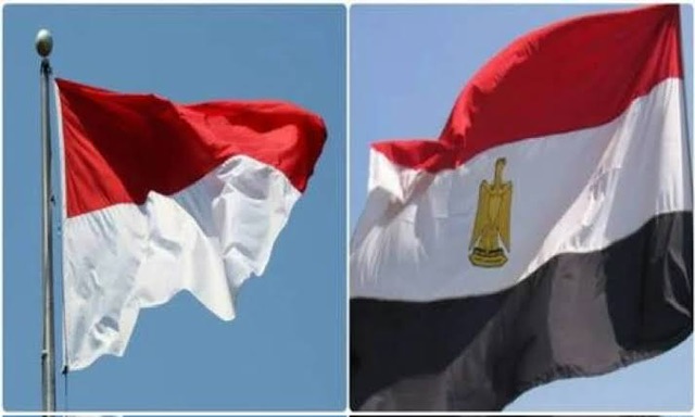 مصر ترحب بانضمام إندونيسيا لتجمع دول 